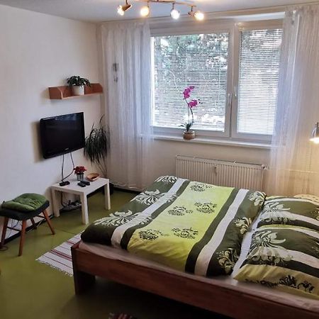 Apartman V Jihlava City 外观 照片